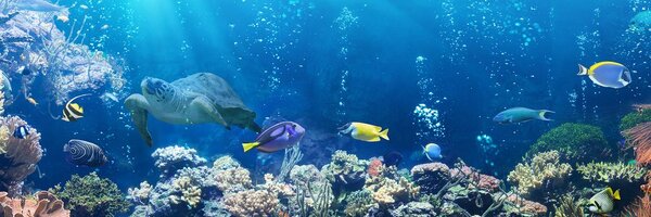 Quadro su tela – Pesci tropicali
