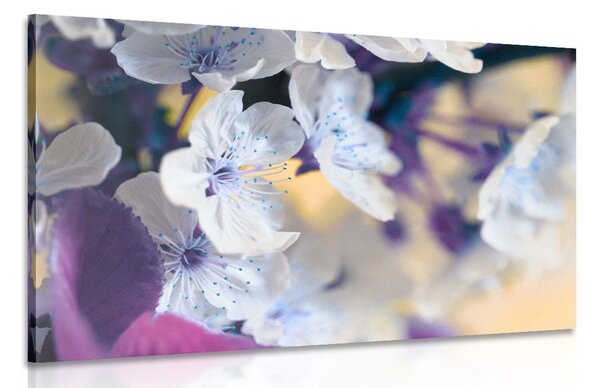 Stampa su tela – Ramo di ciliegio in fiore
