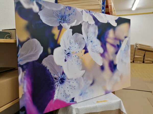 Stampa su tela – Ramo di ciliegio in fiore