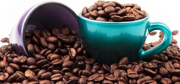 Stampa su tela – Tazze con chicchi di caffè