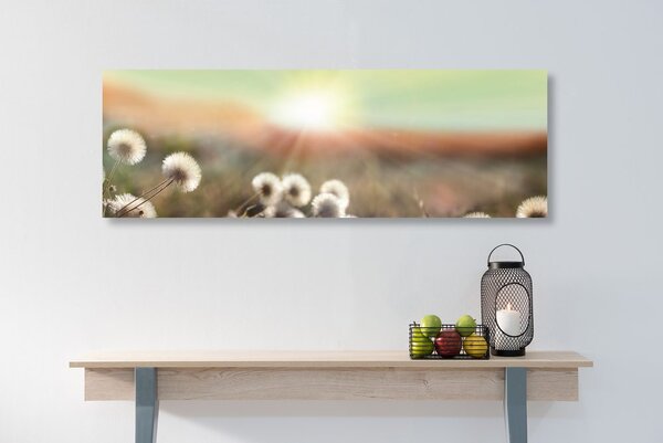Quadro su tela – Panorama di prato fiorito