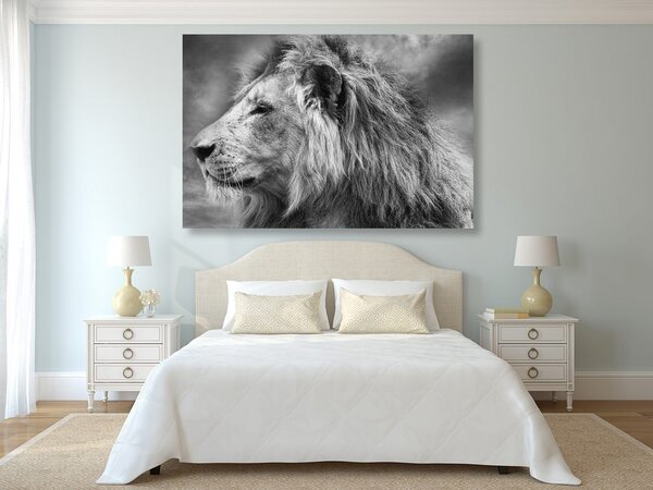 Quadro su tela – Leone africano in bianco e nero