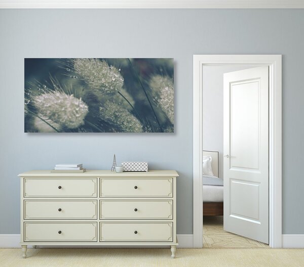 Quadro su tela – Gocce di rugiada sull'erba