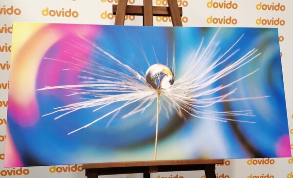 Quadro su tela – Goccia di rugiada su sfondo astratto