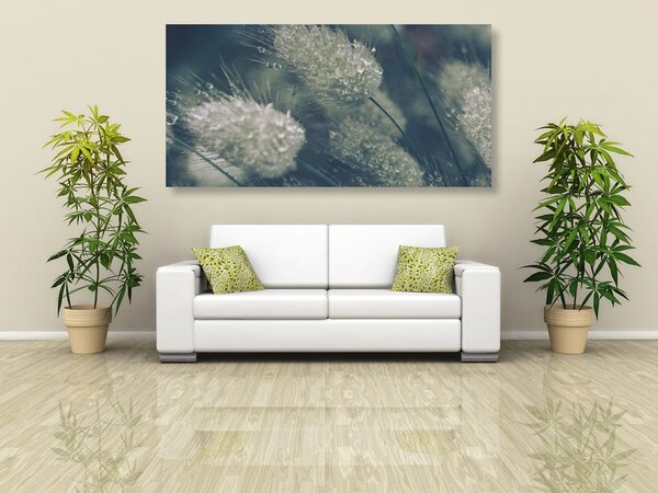 Quadro su tela – Gocce di rugiada sull'erba