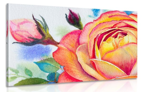Stampa su tela – Rose in sfumature rosa
