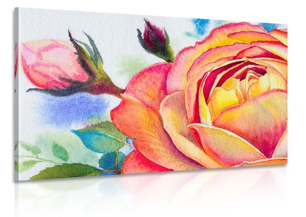 Stampa su tela – Rose in sfumature rosa