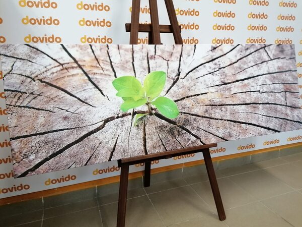 Quadro su tela – Nascita di una nuova vita