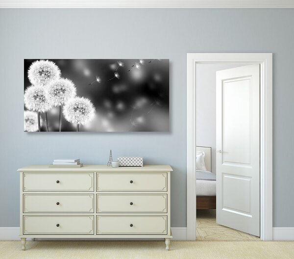 Quadro su tela – Dente di leone soffice in bianco e nero