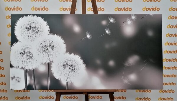 Quadro su tela – Dente di leone soffice in bianco e nero