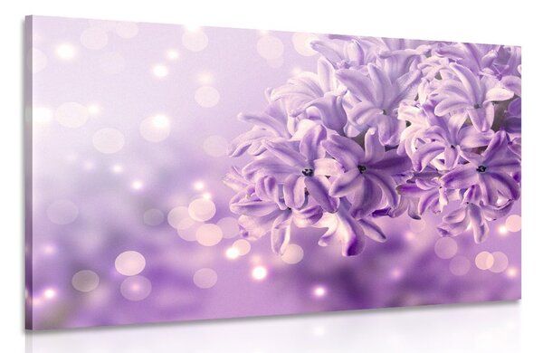 Quadro su tela – Fiore di lillà viola