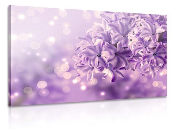 Quadro su tela – Fiore di lillà viola