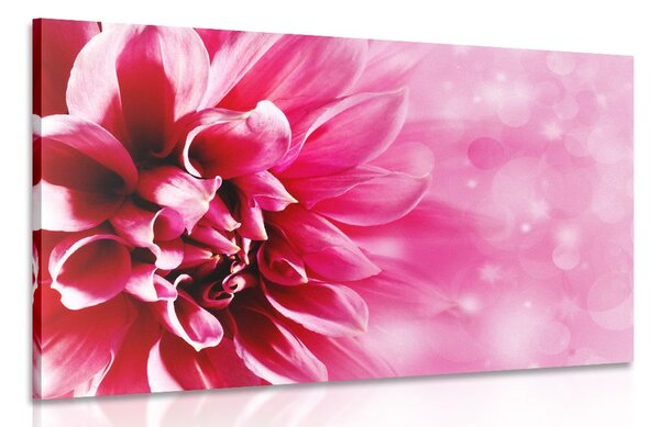 Stampa su tela – Fiore rosa