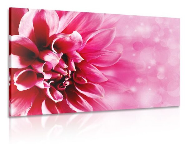 Stampa su tela – Fiore rosa