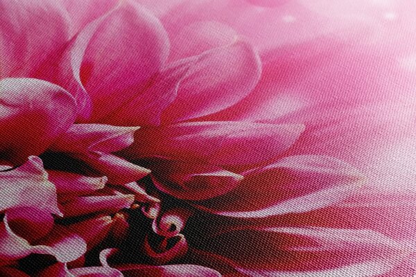 Stampa su tela – Fiore rosa