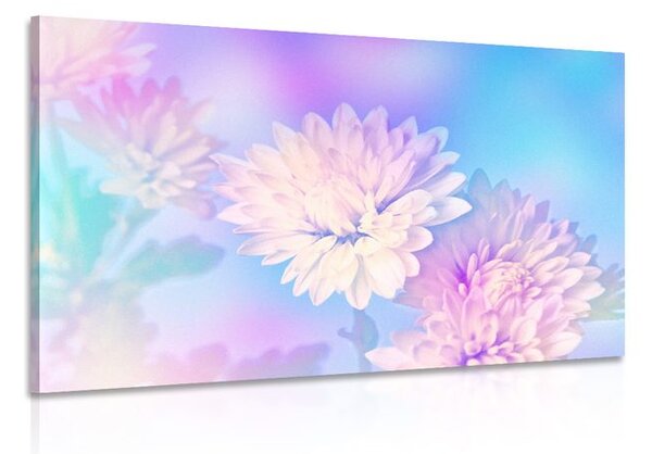 Stampa su tela – Fiore di crisantemo