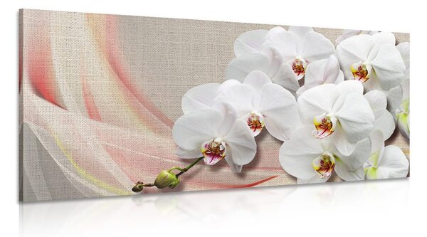 Quadro su tela – Orchidea bianca su tela