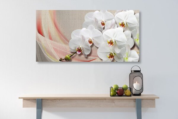Quadro su tela – Orchidea bianca su tela