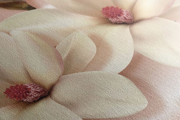 Quadro su tela – Magnolia di lusso con perle