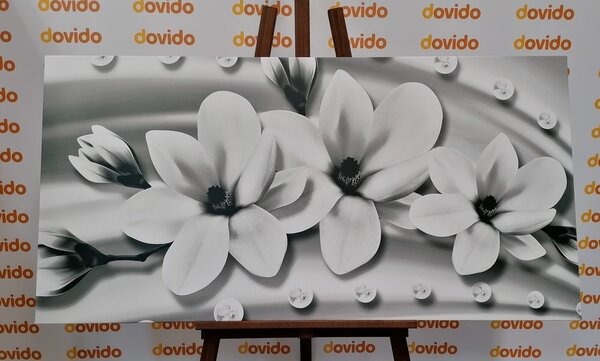 Stampa su tela – Magnolia di lusso con perle in bianco e nero