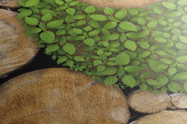 Stampa su tela – Yin e Yang in eco design