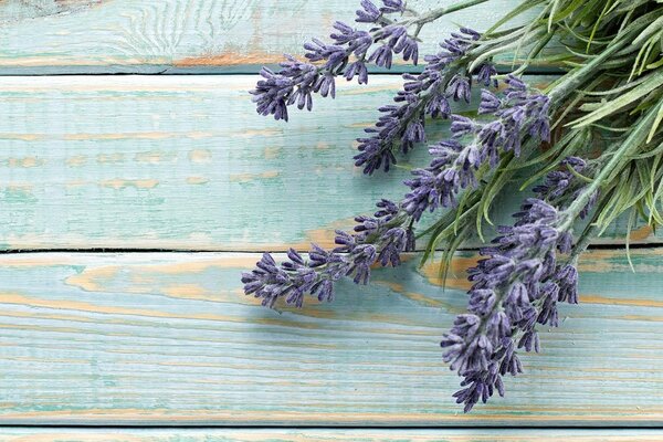 Stampa su tela – Lavanda su sfondo di legno
