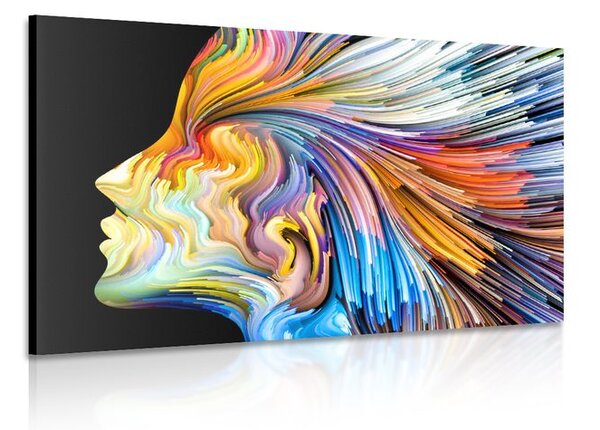 Quadro su tela – Profilo colorato di volto femminile