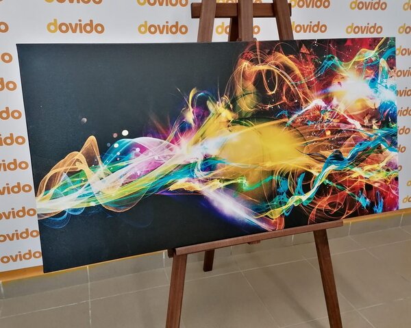 Quadro su tela – Esplosione di colori
