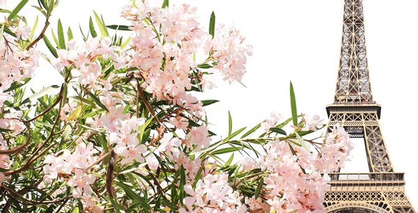 Stampa su tela – Torre Eiffel e fiori rosa