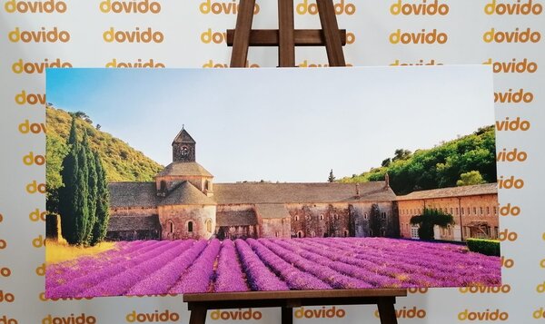 Stampa su tela – Provenza con campi di lavanda
