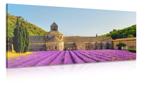 Stampa su tela – Provenza con campi di lavanda