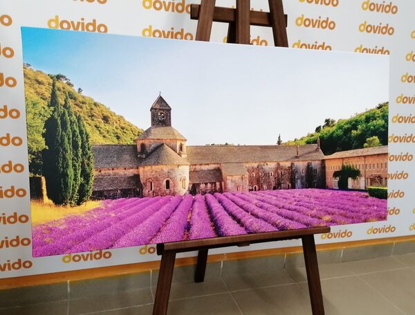 Stampa su tela – Provenza con campi di lavanda