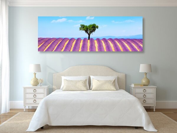 Quadro su tela – Campo di lavanda provenzale