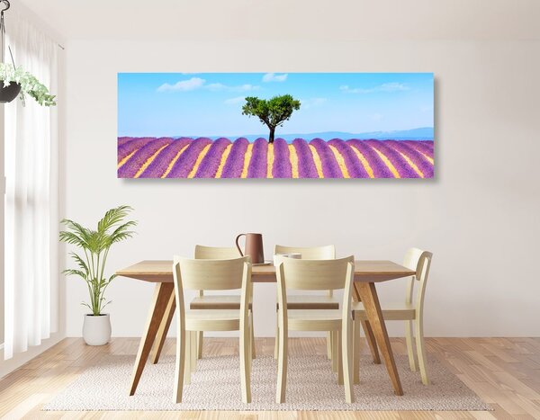 Quadro su tela – Campo di lavanda provenzale
