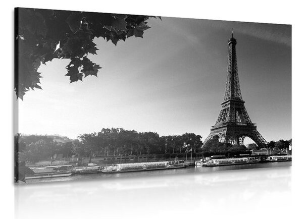 Quadro su tela – Parigi in autunno in bianco e nero