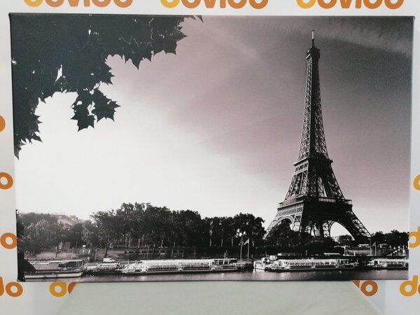 Quadro su tela – Parigi in autunno in bianco e nero