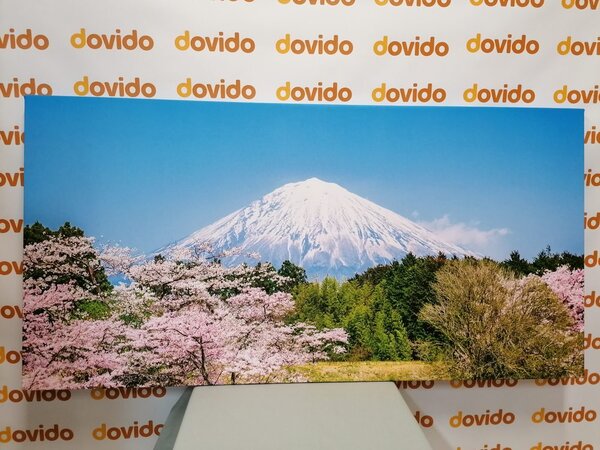 Quadro su tela – Monte Fuji