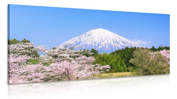 Quadro su tela – Monte Fuji