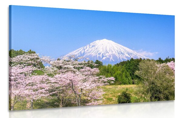 Stampa su tela – Vulcano Fuji