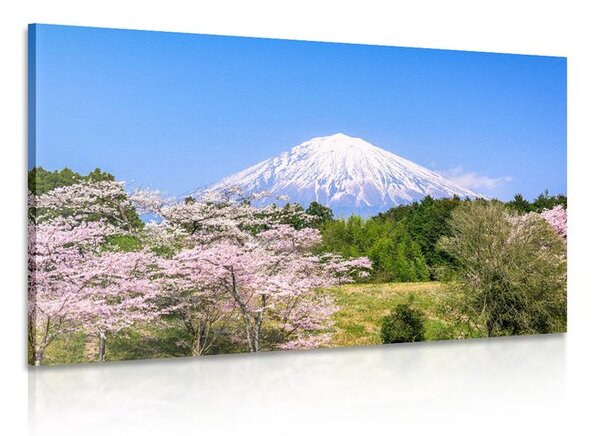 Stampa su tela – Vulcano Fuji