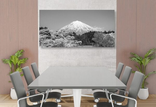 Stampa su tela – Monte Fuji in bianco e nero