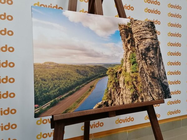 Quadro su tela – Vista sul fiume e foresta