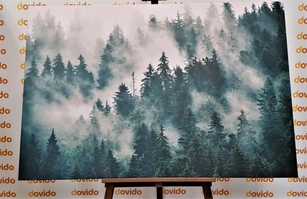 Quadro su tela – Montagne nella nebbia