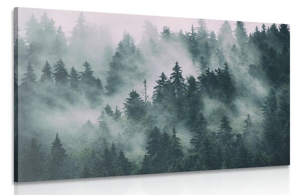 Quadro su tela – Montagne nella nebbia