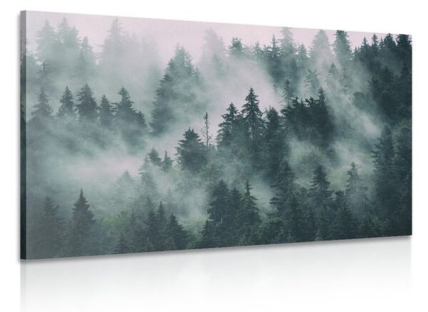 Quadro su tela – Montagne nella nebbia