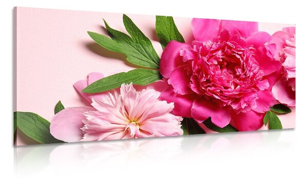 Quadro su tela – Peonie in rosa