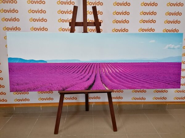 Stampa su tela – Campo di lavanda infinito