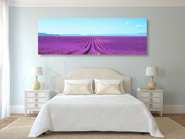 Stampa su tela – Campo di lavanda infinito