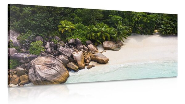 Quadro su tela – Costa delle Seychelles