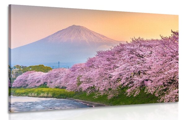 Stampa su tela – Vulcano Fuji del Giappone